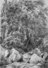 Шишкин И.И. Деревья у ручья на горе Кастель 1879