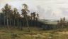 Богатый лог (Пихтовый лес на реке Каме) 1878