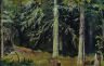 Еловый лес 1890
