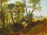 Опушка леса 1866
