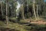 Ручей в берёзовом лесу 1883 105х153 