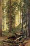 Ручей в лесу 1880