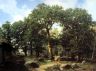 Дубовый лес в окрестностях Ревеля. 1862
